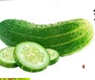 Cucumber- खीरा (Khhera)  