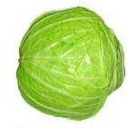 Cabbage- पत्ता गोभी (Patta Gobhi)  