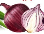 Onion- प्याज (Pyaz)