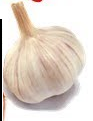 Garlic- लहशुन (Lahshun)