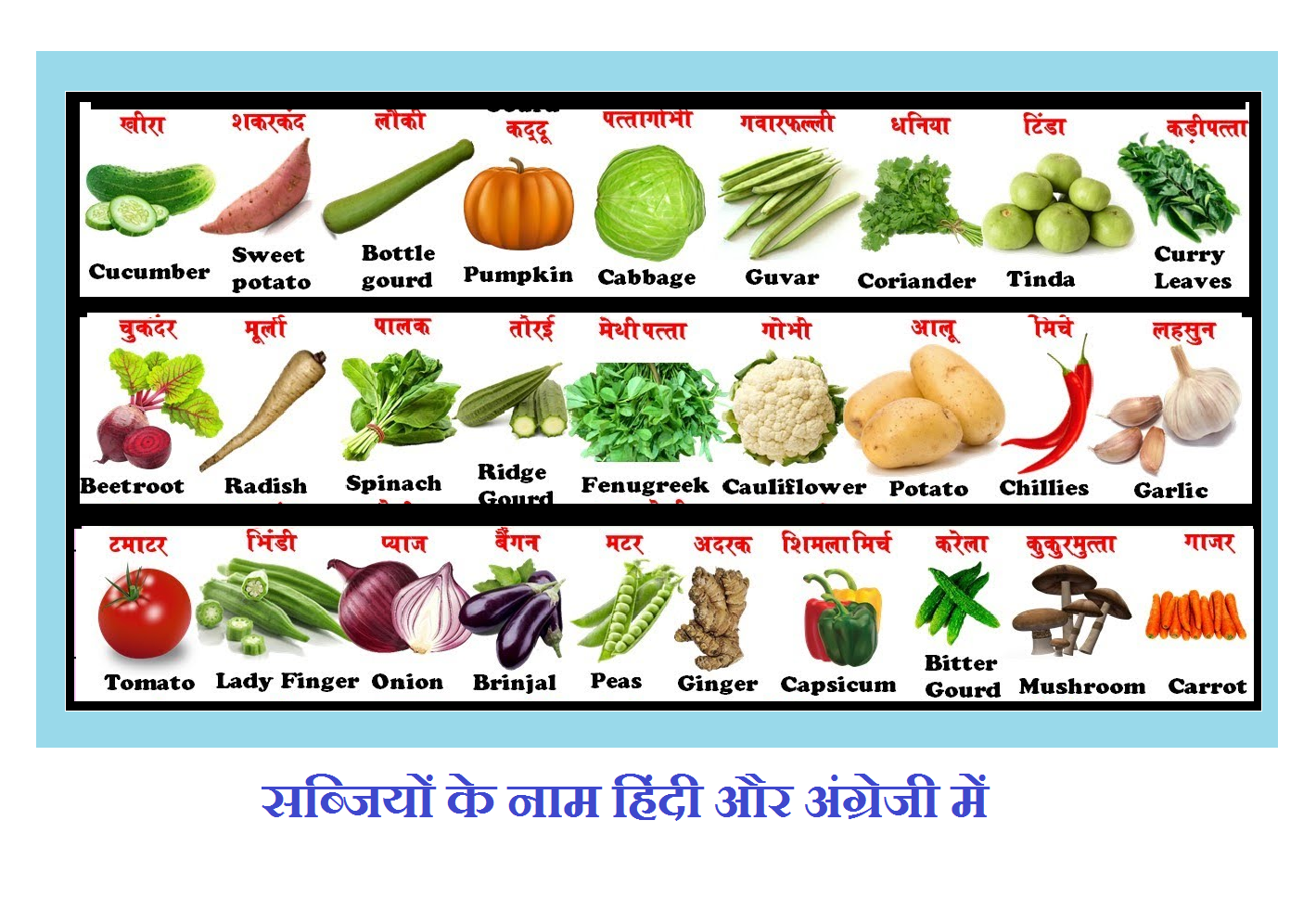 vegetables-name-in-hindi-and-english-world