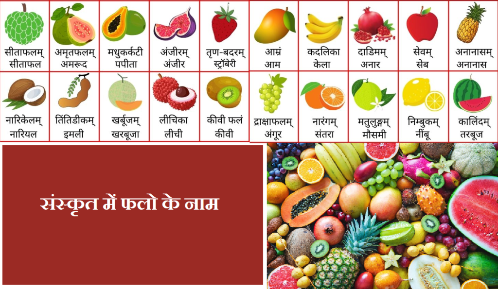 All fruits name in sanskrit with pictures